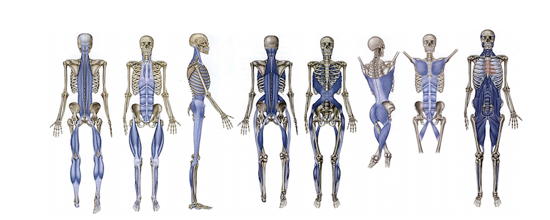 Myofascial Melt Release Board
